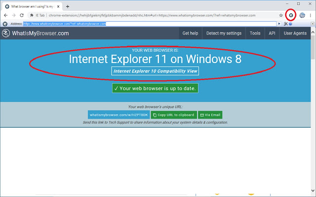 IE Tab Extension